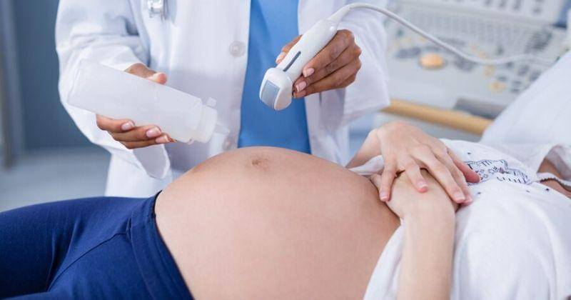 Freepik/wavebreakmedia_micro